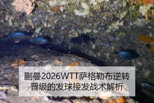 蒯曼2026WTT萨格勒布逆转晋级的发球接发战术解析