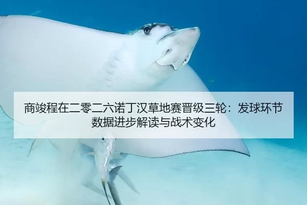 商竣程在二零二六诺丁汉草地赛晋级三轮：发球环节数据进步解读与战术变化